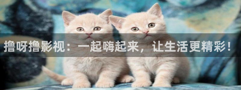 草莓视频现在观看下载