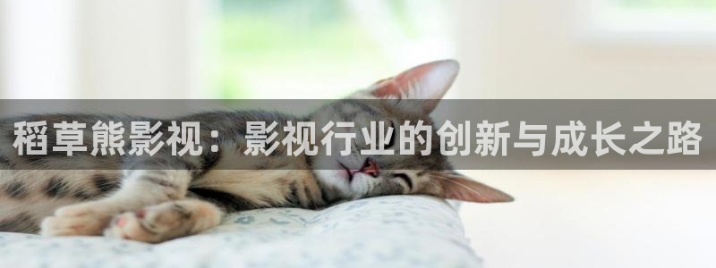 草莓视频黄.
