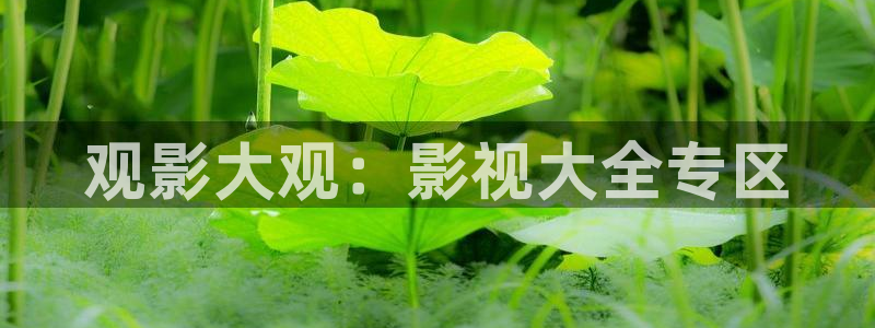 草莓丝瓜绿巨人在线