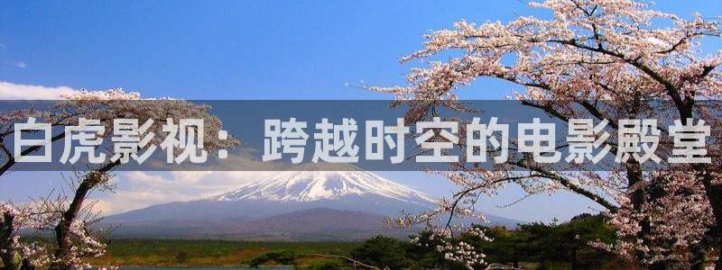 草莓视频成视频app在线看：白虎影视：跨越时空的电影殿堂